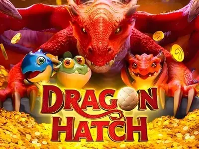Dragon Hatch na TopX